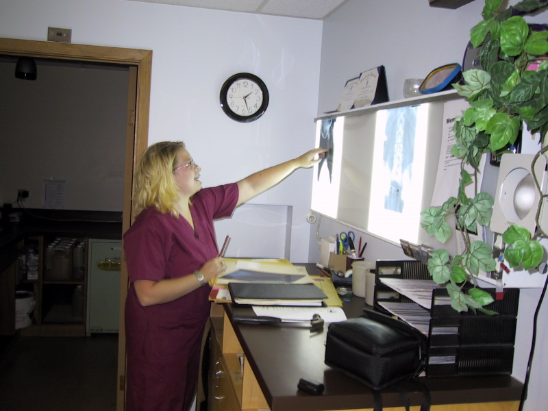 x-ray-technologist